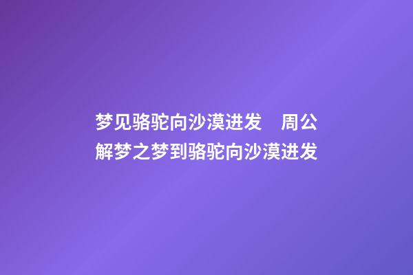 梦见骆驼向沙漠进发　周公解梦之梦到骆驼向沙漠进发